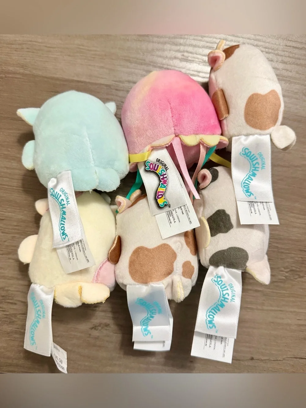 NWT Squishmallows Corinna the Teal Tabby Cat 8